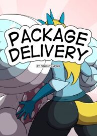 Cover Package Delivery