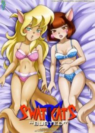 Cover Swat Kats – Busted