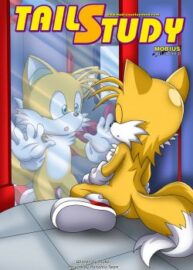 Cover Tails Study