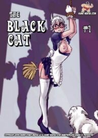 Cover The Black Cat 1