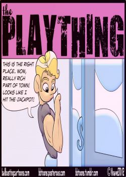 Cover The Plaything