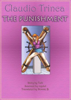 Cover The Punishment