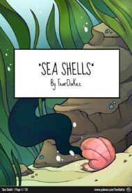 Cover Seashells