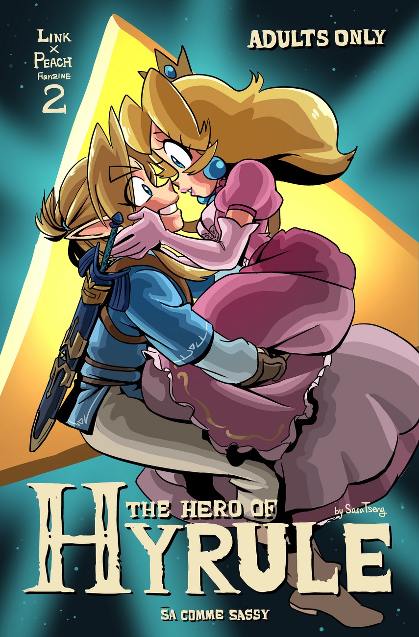 Cover The Hero Of Hyrule 1