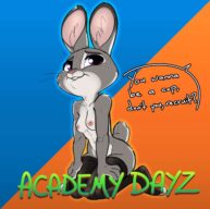 Cover Academy Dayz