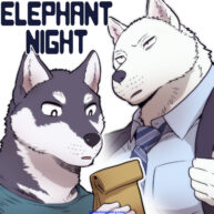 Cover Elephant Night