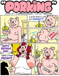 Cover Porking