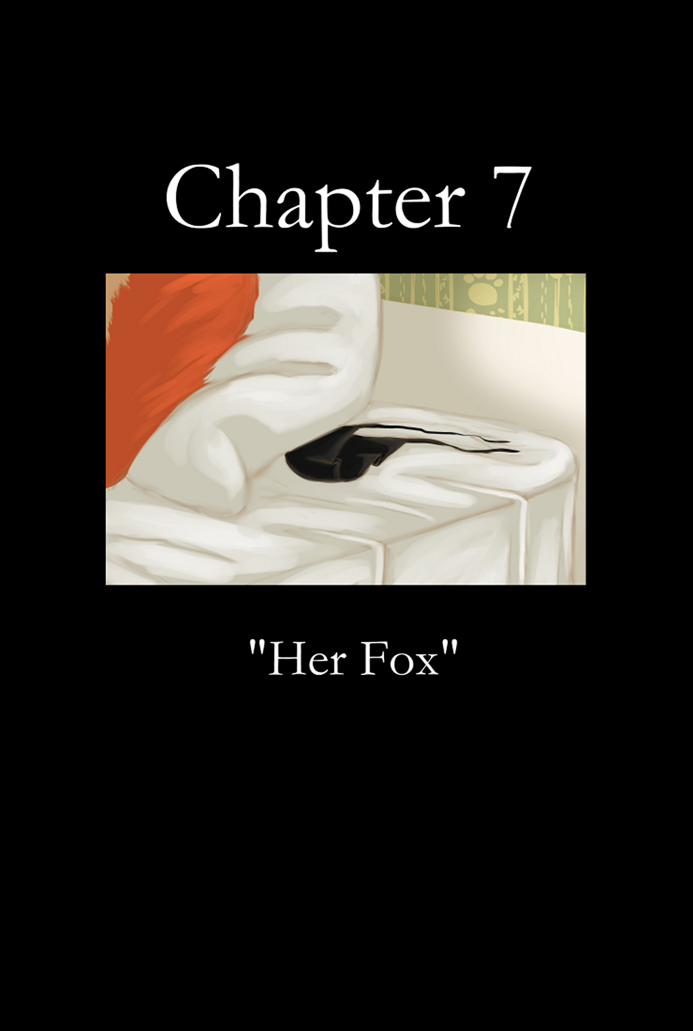 Cover The Broken Mask 7 – Her Fox