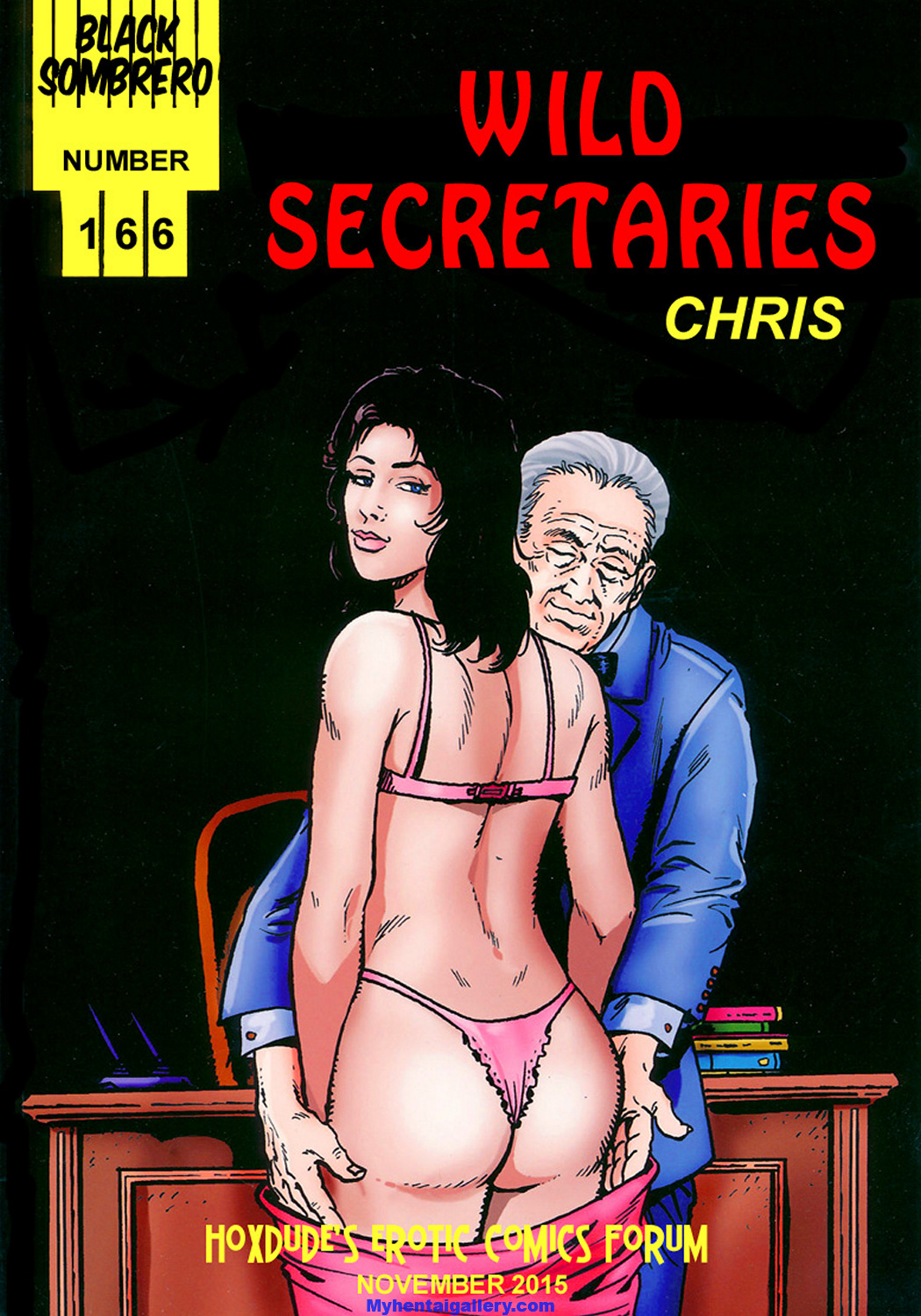 Cover Wild Secretaries