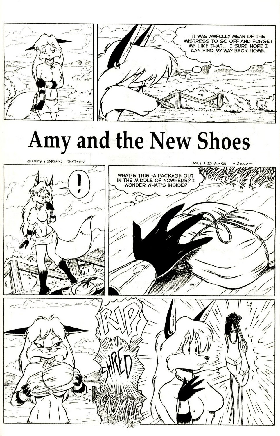 Cover Amy’s Adventures – Amy And The New Shoes