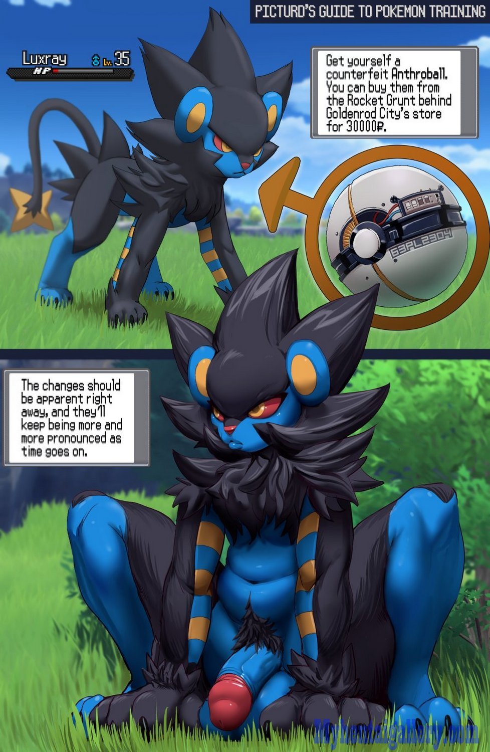 Cover Anthroball – Luxray’s Training