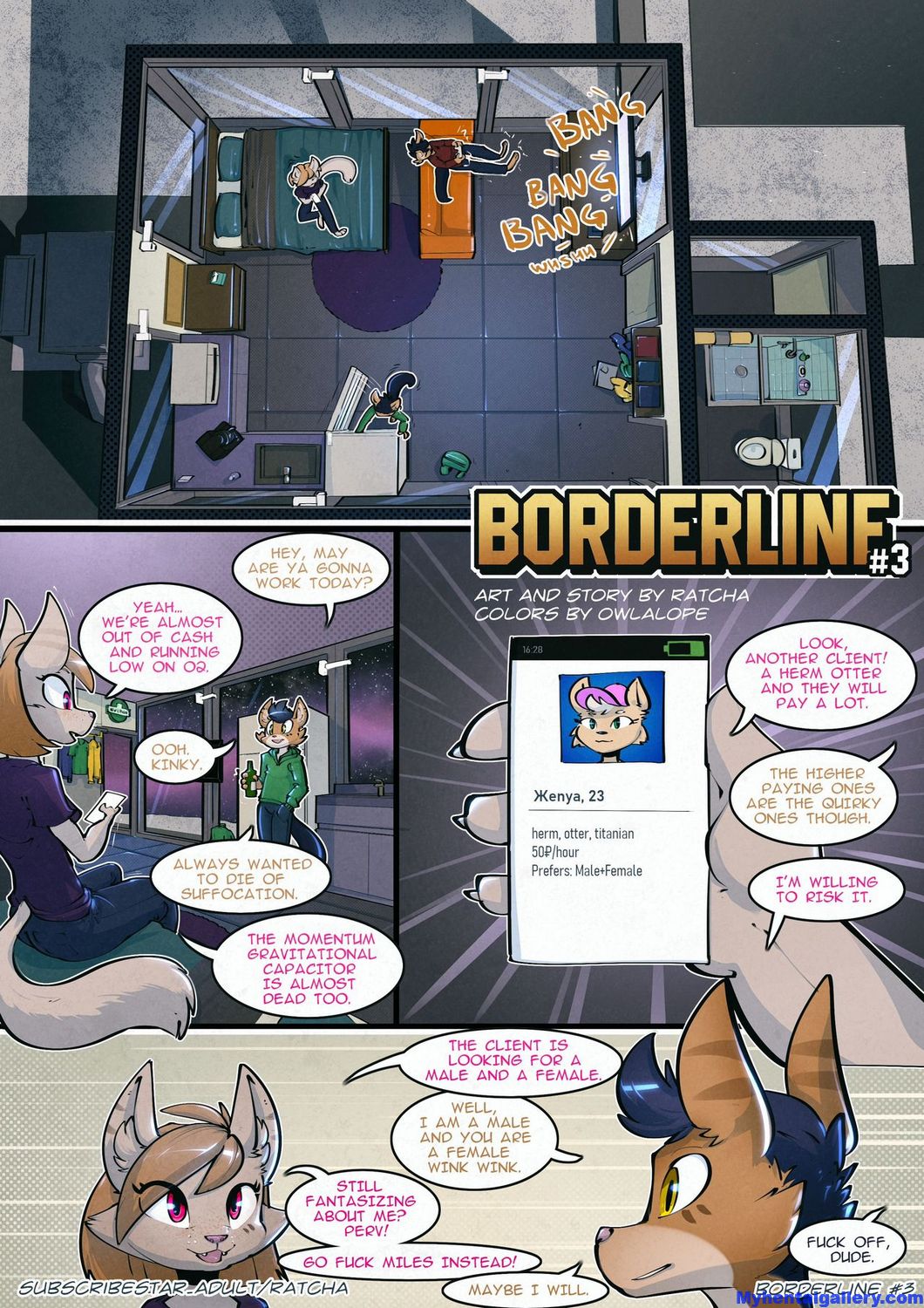 Cover Borderline 3