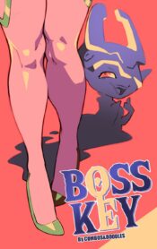 Cover Boss Key