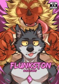 Cover Flunkston