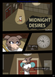 Cover Midnight Desires
