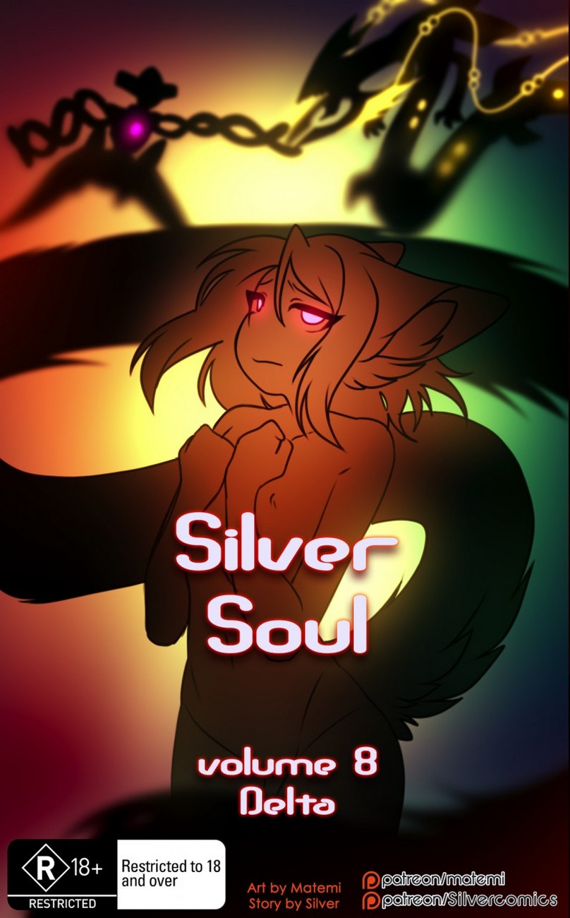 Cover Silver Soul 8