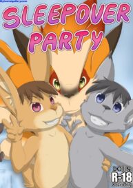 Cover Sleepover Party 1 – A Different Game
