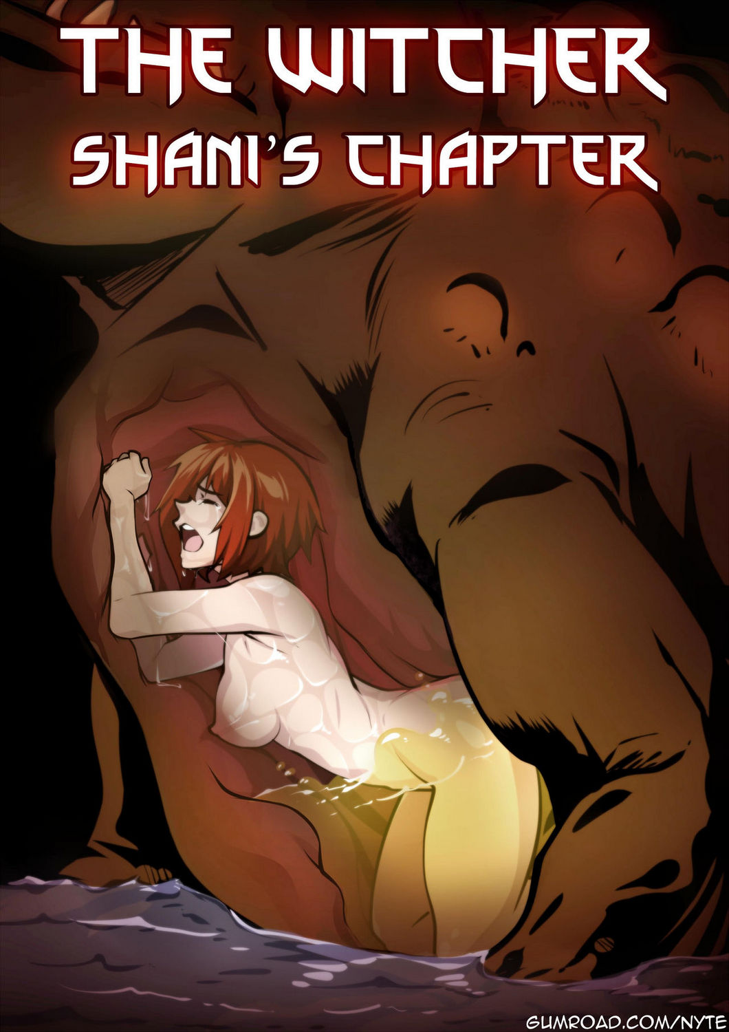 Cover The Witcher – Shani’s Chapter